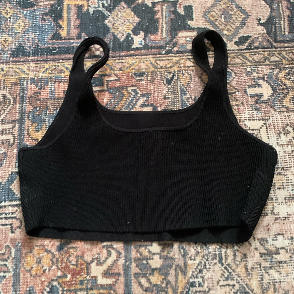 Aritzia Ribbed Crop Top